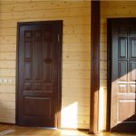 Doors in a log house