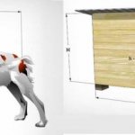 Собачья будка своими руками: два фотоотчета видео