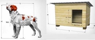 Собачья будка своими руками: два фотоотчета видео