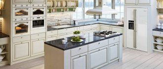 Built-in kitchen appliances: which one to choose